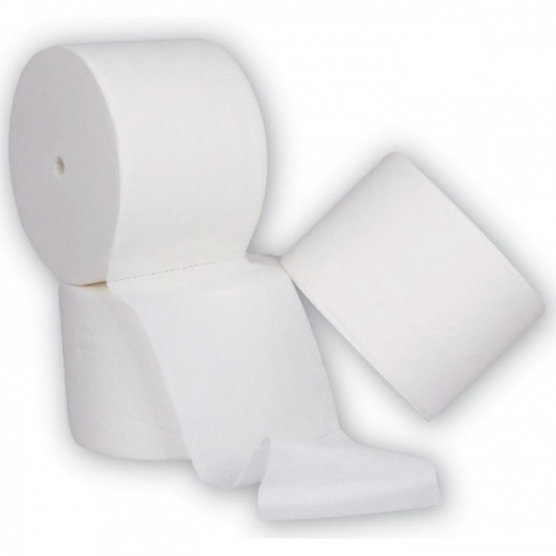 Esprit Coreless Toilet Roll 2Ply White (Case of 36) - JCL100PNJA / AA102