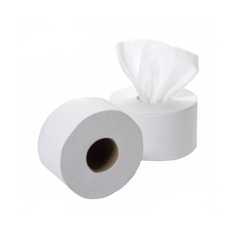 Smartone Toilet Roll 2Ply White (Case of 6) - JCP002