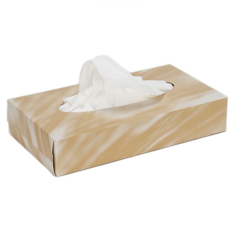 2 Ply White Facial Tissues - 180Mm X 208Mm  (Case of 24) - FF0112DS
