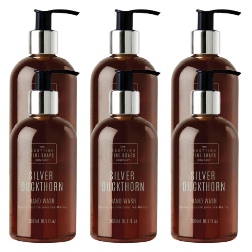 Silver Buckthorn Hand Wash 300ml, Pack of 6 - 863.002